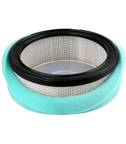 Amazon.com : Miller 198755 Air Filter,Robin (Eh64/65) Onan